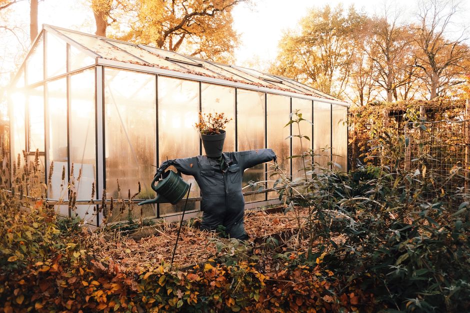 Gezellige tuinkamer met kleurrijke herfstbladeren. Gezellige tuinkamer met kleurrijke herfstbladeren.